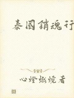 泰国销魂行封面