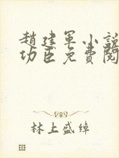 赵建军小说一等功臣免费阅读全文封面