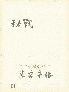 秘战