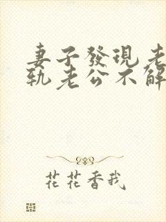 妻子发现老公出轨老公不解释