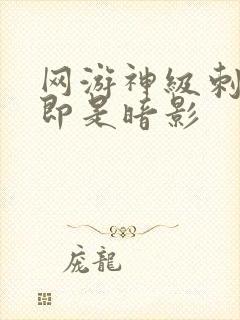 网游神级刺客我即是暗影封面