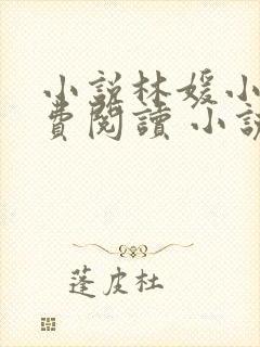 小说林媛小正免费阅读 小说