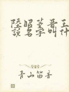 陆昭菱晋王的小说名字叫什么