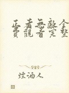 正者无敌全集免费观看完整版封面