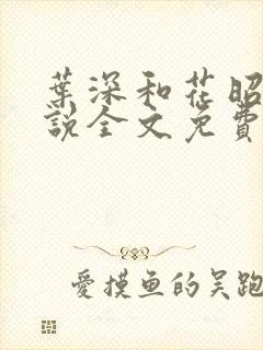 叶深和花昭的小说全文免费阅读