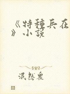 《特种兵在都市》小说