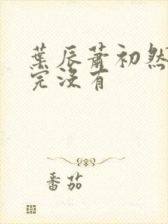 叶辰萧初然更新完没有封面