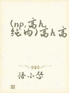 (np,高h,纯肉)高h高辣