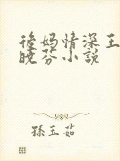 后妈情深王磊杨晓芬小说