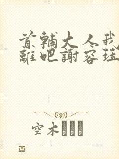 首辅大人我们和离吧谢容珏