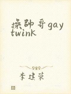 操帅哥gay twink