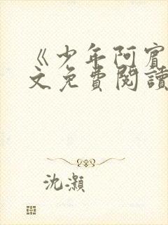 《少年阿宾》全文免费阅读