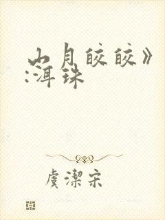 山月皎皎》作者:洱珠封面