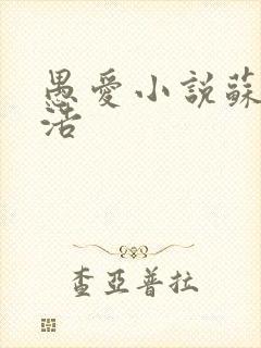 愚爱小说苏倩孙浩