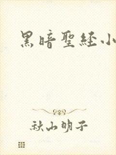 黑暗圣经小说封面