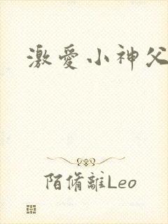 激爱小神父