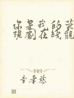 你是我的荣耀电视剧在线观看完整版免费