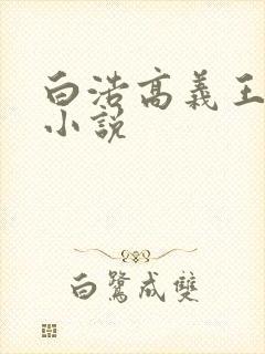 白浩高义王局长小说