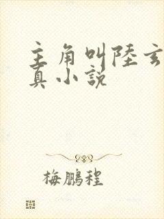 主角叫陆玄的修真小说