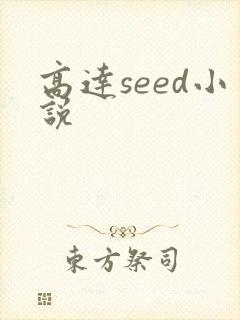 高达seed小说