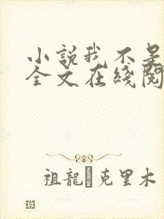 小说我不是戏神全文在线阅读