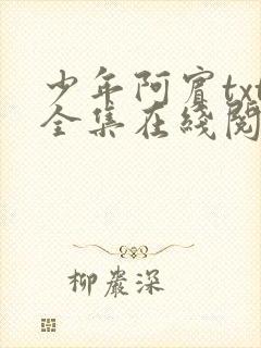 少年阿宾txt全集在线阅读