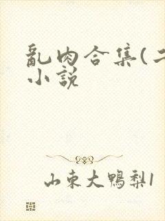 乱肉合集(二)小说