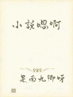 小说嗯啊