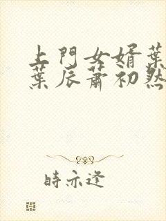 上门女婿叶辰 叶辰萧初然531封面
