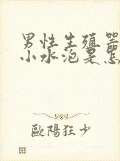 男性生殖器上起小水泡是怎么回事