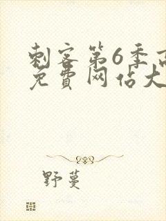 刺客第6季高清免费网站大全