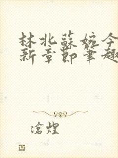 林北苏婉今天最新章节笔趣阁