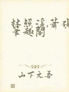 林照溪,萧砚川笔趣阁