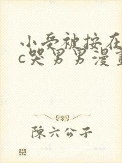 小受被按在墙上c哭男男漫画封面