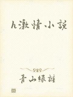 h激情小说
