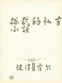 总裁的私有宝贝小说