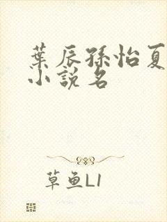 叶辰孙怡夏若雪小说名