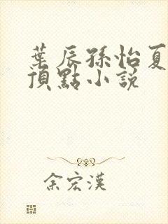 叶辰孙怡夏若雪顶点小说