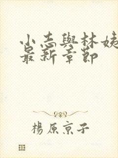 小志与林姨小说最新章节