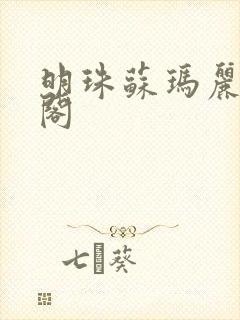 明珠苏玛丽笔趣阁