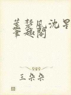 叶楚风沈星岚2笔趣阁