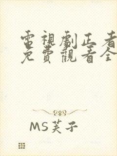 电视剧正者无敌免费观看全集