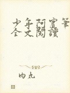 少年阿宾笔趣阁全文阅读