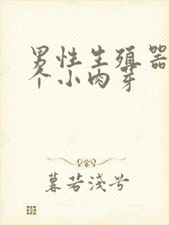 男性生殖器上长个小肉芽