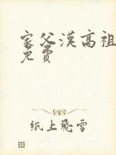 家父汉高祖全文免费