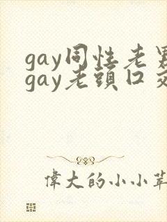 gay同性老男gay老头囗交