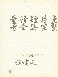 爱情短片免费观看全集完整版高清封面