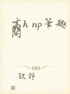 高h np笔趣阁