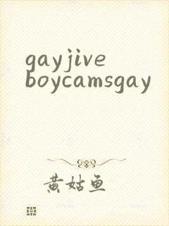 gayjiveboycamsgay封面