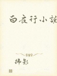 白夜行小说下载